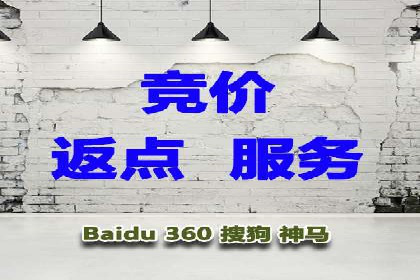 SEM竞价开户流程详解：成功案例解析